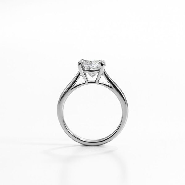 Round Brilliant Cathedral Solitaire Ring (2)
